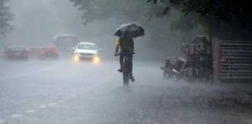 Kerala Weather Updates; Heavy rain expected till June 1, yellow alert in 4 district