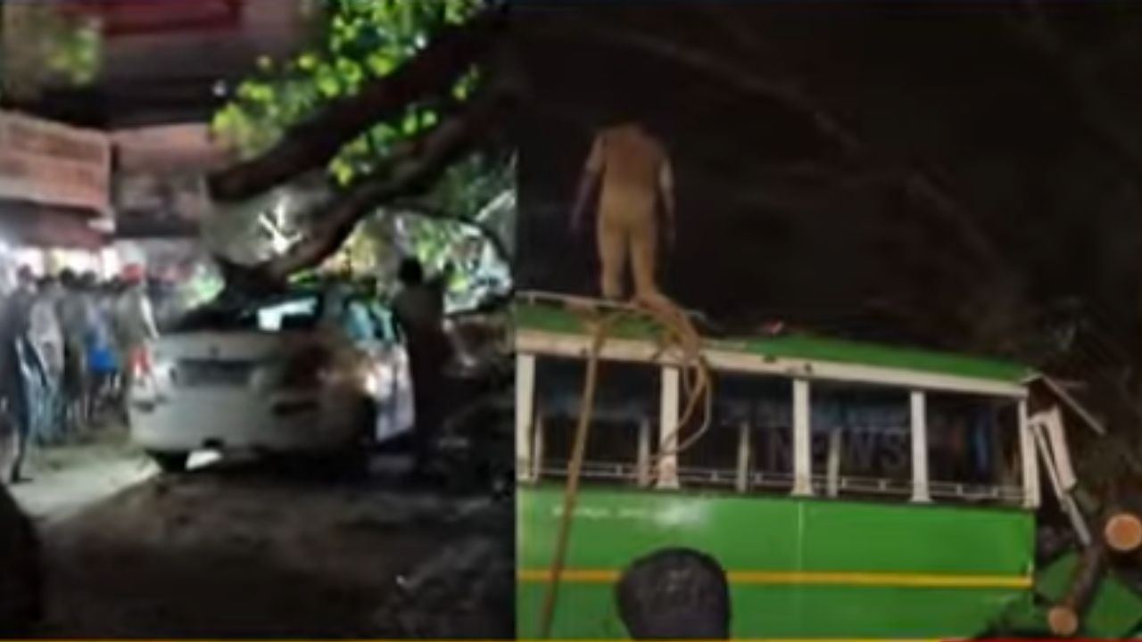 A banyan branch fell on top of the bus and the car