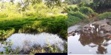 The Kasaragod Kanchikatta River and its associated streams are dying due to garbage