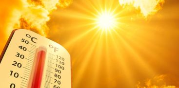 Temperature scale