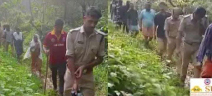 Three missing women were found in the forest