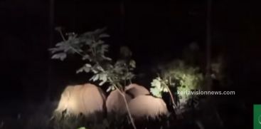 Residents of Mullaringad area have been struggling due to wild elephants  disturbance