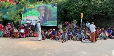 Arikomban Fans Protest in Chinnakkanal