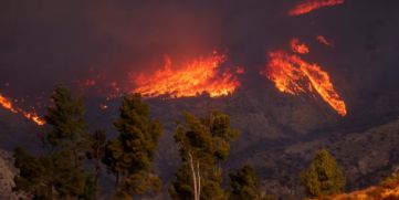 Wildfire Breaks Out Near Castaic Lake Again