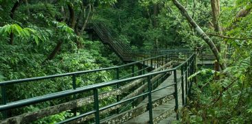  Eco-Tourism in Thenmala