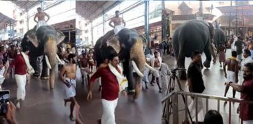 guruvayoor-elephant-run