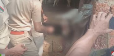 iger killed a goat in Matamangalam Vellora