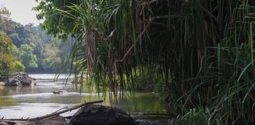 tourist place in wayanad 