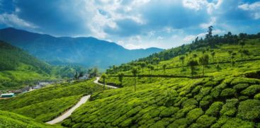 tourist place in idukki