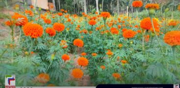 'Nab Flora' ; Flower cultivation started under NABARD